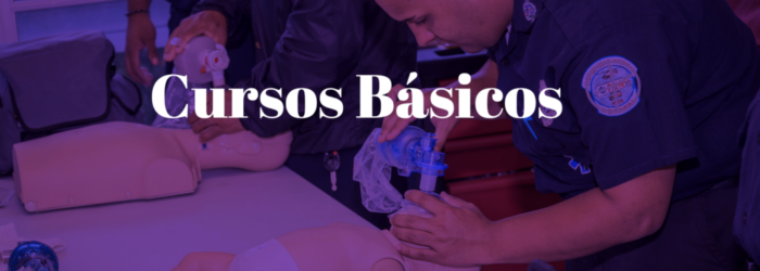 Cursos Básicos