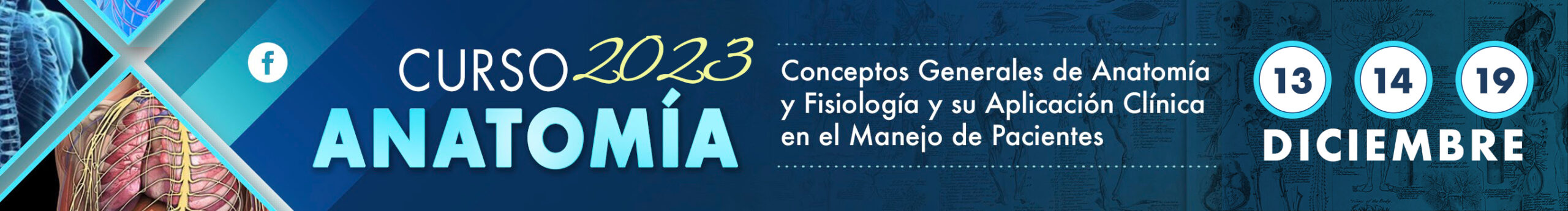 Conceptos Generales de Anatomía y Fisiología y su Aplicación Clínica en el Manejo de Pacientes